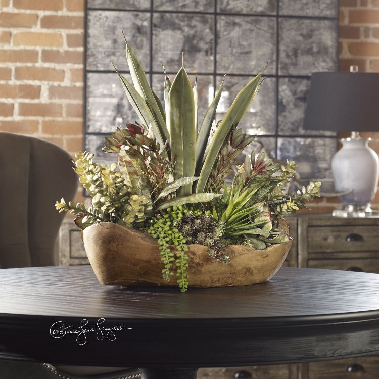 Salar Succulents In Teak Bowl - taylor ray decor
