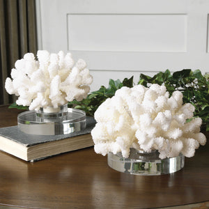 Hard Coral Sculptures, S/2