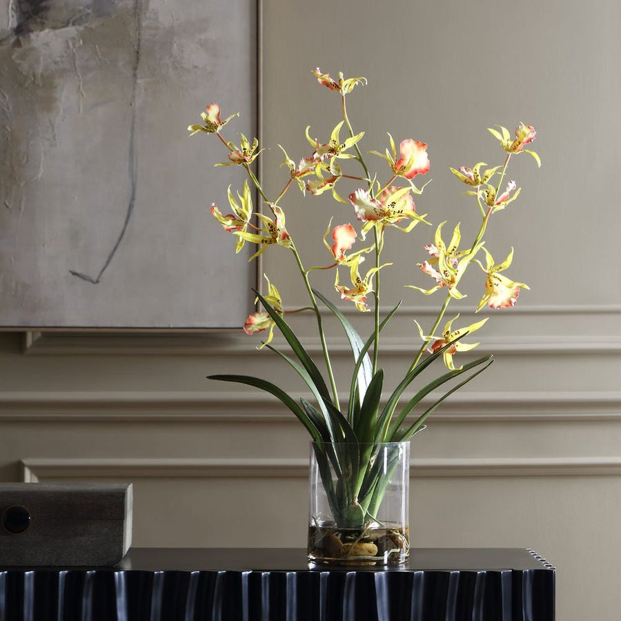 Spider Orchid Stems with Glass Vase
