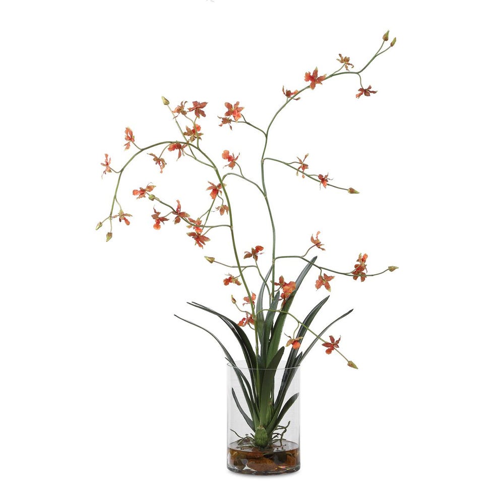 Dancing Orchid Stems Arrangement