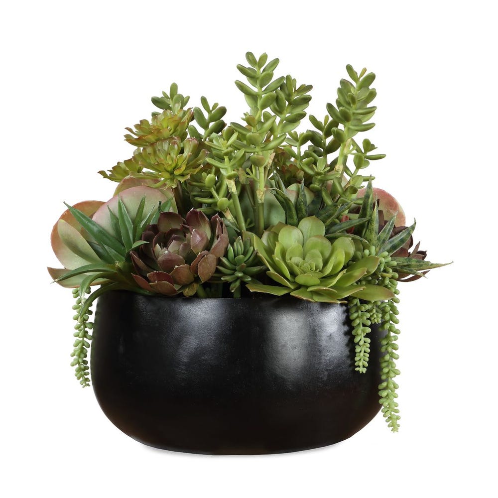 Mico Indoor-Outdoor Succulent Centerpiece