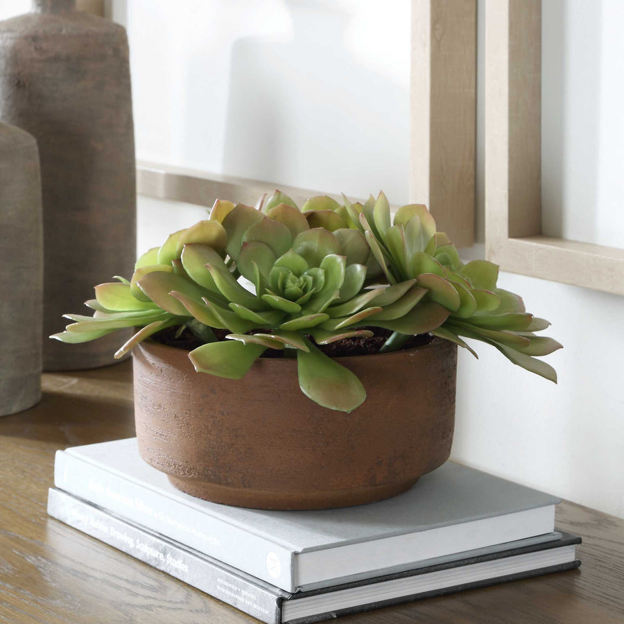 Sable Succulent Accent In Pot