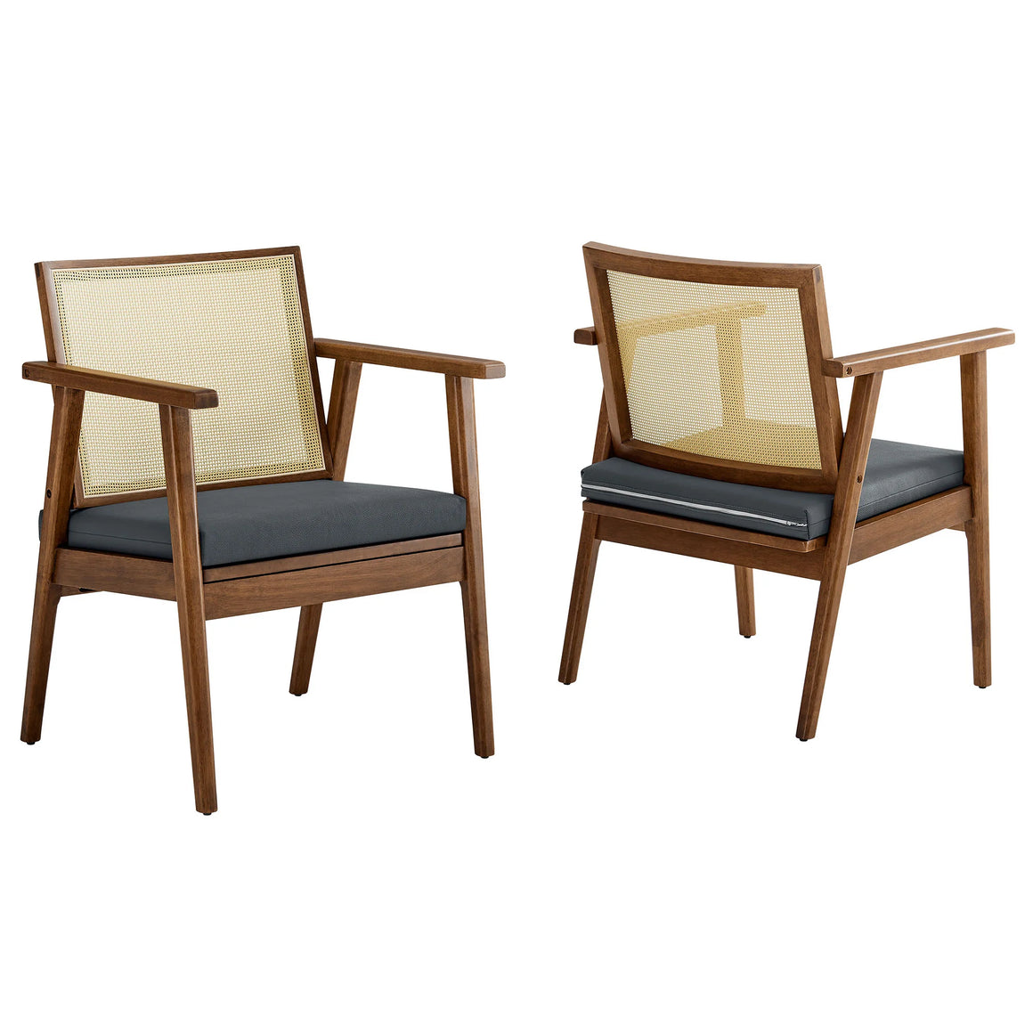 Thera Vegan Leather and Cane Accent Armchairs