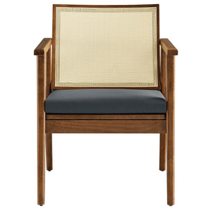 Thera Vegan Leather and Cane Accent Armchairs