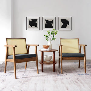 Thera Vegan Leather and Cane Accent Armchairs