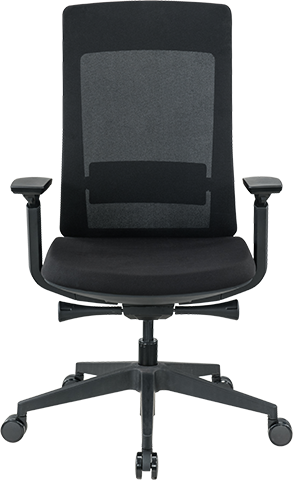 Elevate Modern Mesh Executive Chair