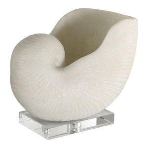 Nautilus Shell Sculpture - taylor ray decor