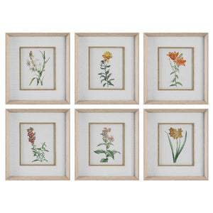 Classic Botanicals Framed Prints Set/6 @taylorraydecor