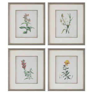 Heirloom Blooms Study Framed Prints Set/4 @taylorraydecor
