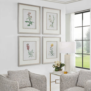 Heirloom Blooms Study Framed Prints Set/4 @taylorraydecor
