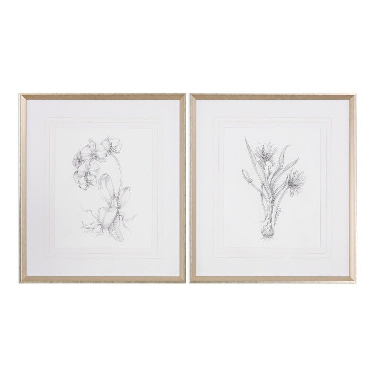 Botanical Sketches Framed Prints S/2 - taylor ray decor
