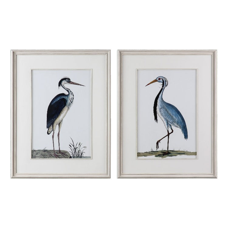 Shore Birds Framed Prints, S/2 - taylor ray decor