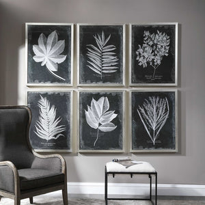 Foliage Framed Prints, S/6 - taylor ray decor