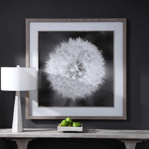 Dandelion Seedhead Framed Print - taylor ray decor