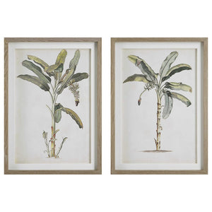 Banana Palm Framed Prints, S/2