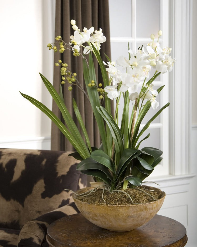 Moth Orchid Planter - taylor ray decor