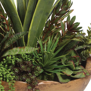 Salar Succulents In Teak Bowl
