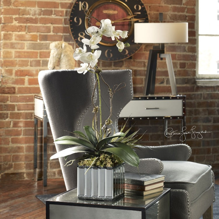 White Kaleama Orchids - taylor ray decor