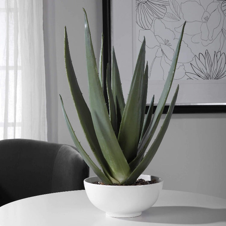 aloe vera plant decoration Evarado Aloe Planter– taylor ray decor