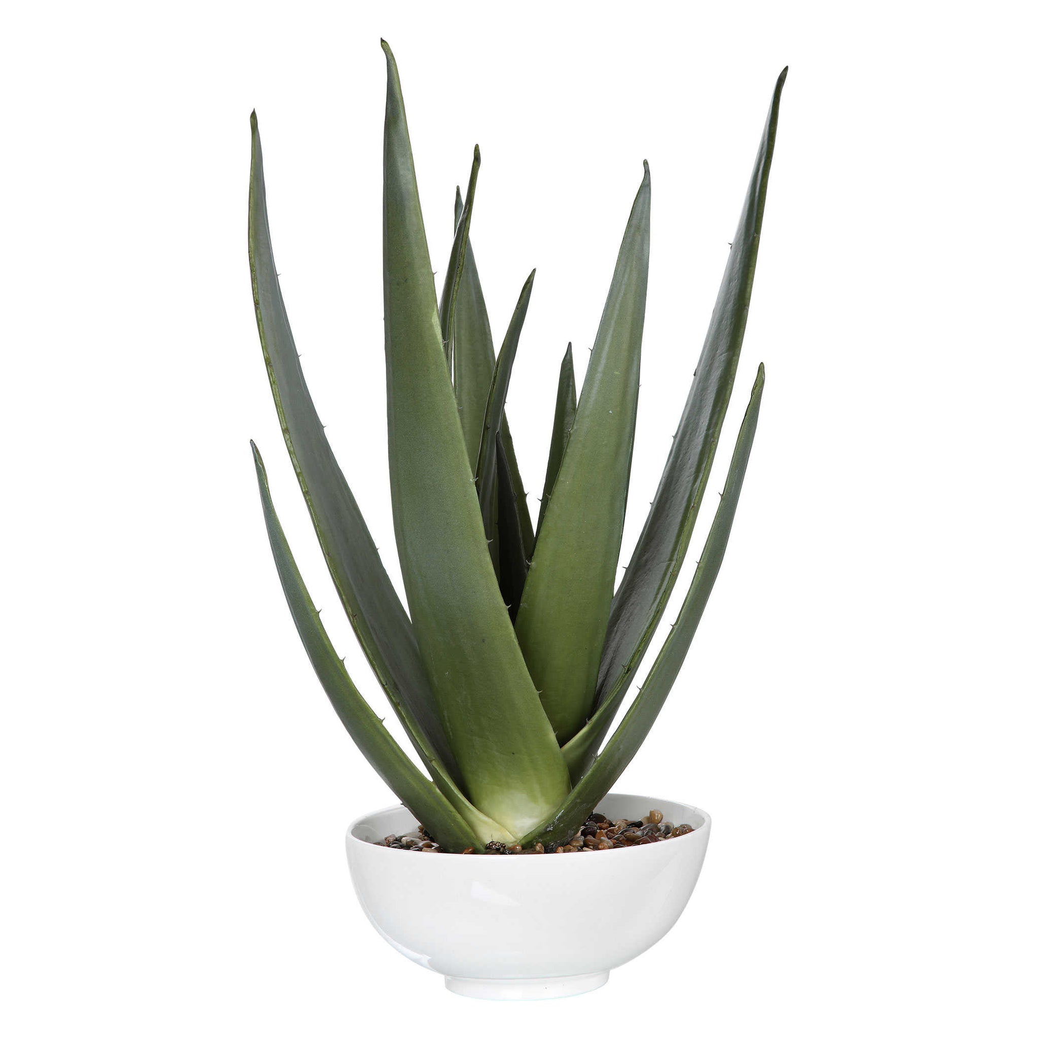 aloe vera plant decoration Evarado Aloe Planter