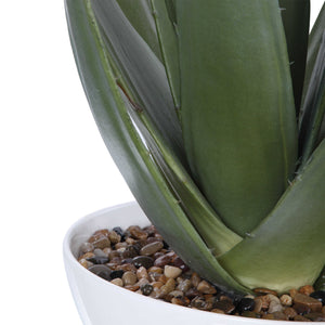 Evarado Aloe Planter - taylor ray decor