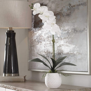 Cami Orchid - taylor ray decor