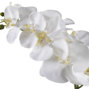 Cami Orchid - taylor ray decor