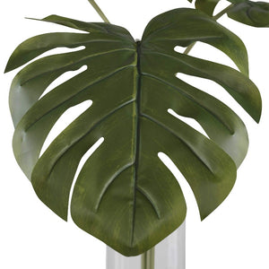 Ibero Split Leaf Palm - taylor ray decor