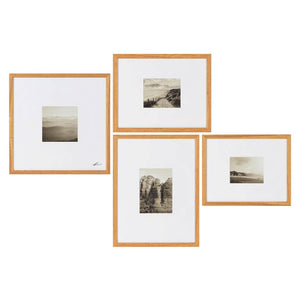 Torreys Nature Framed Prints, Set of 4
