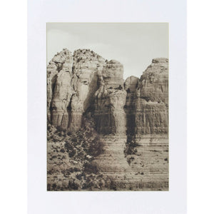 Torreys Nature Framed Prints, Set of 4 - taylor ray decor